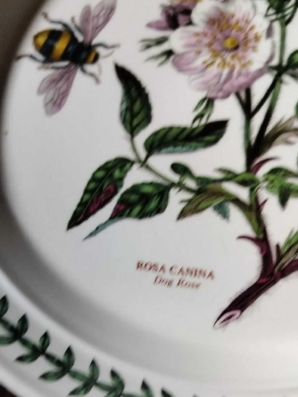 Port Meirion Notanical Floral Dinner Plate in White with Pink Rose Motif Vintage